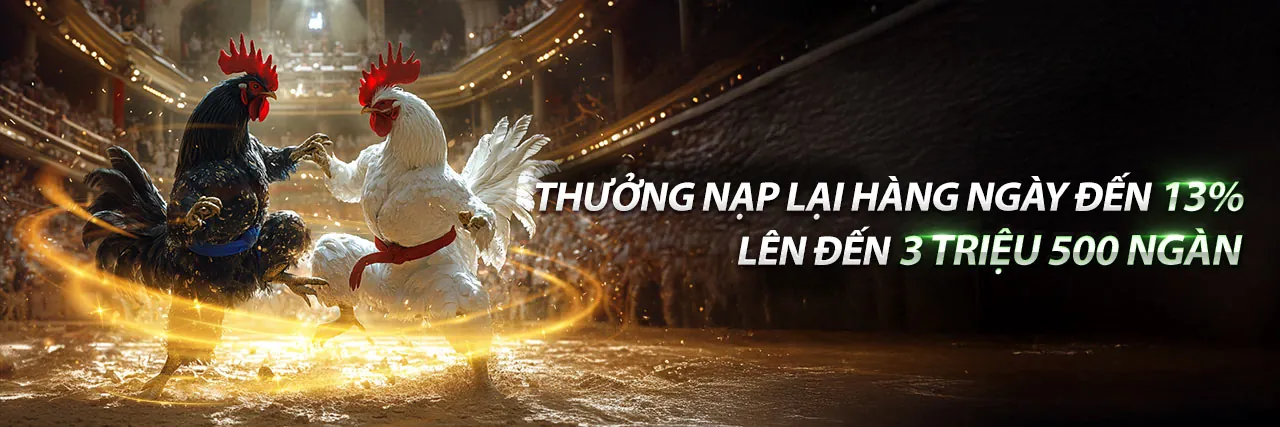 Sân vận động sôi động với người hâm mộ và logo okkinh app